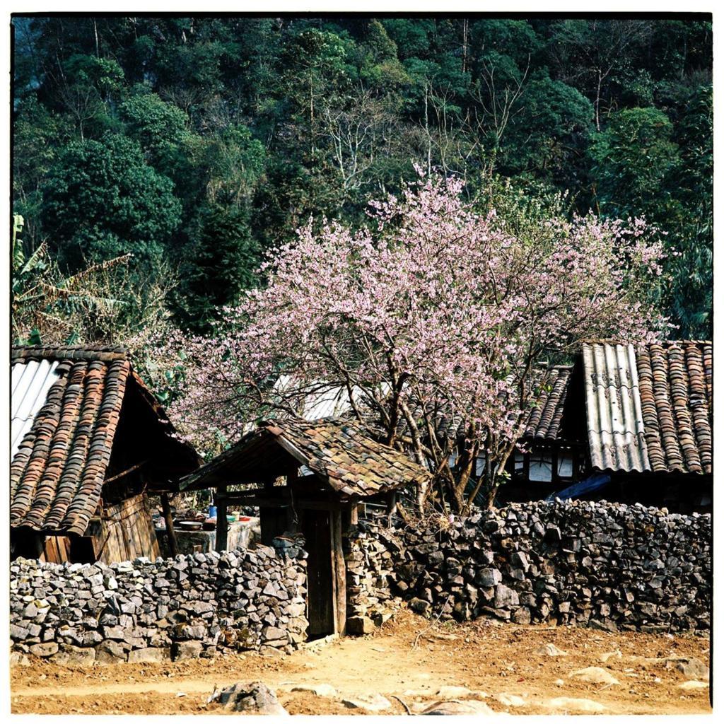 Huyen Tram Guesthouse Dồng Van Bagian luar foto